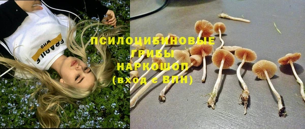 синтетический гашиш Абинск