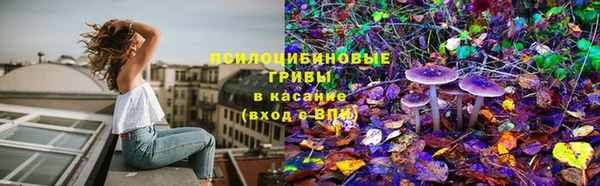 ешки Абаза