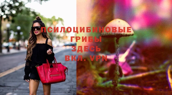 ешки Абаза